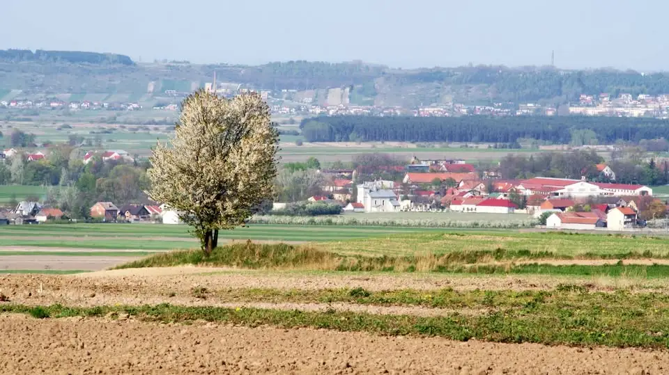 Koło Gospodyń Wiejskich z Michałowa triumfuje w konkursie wieńców dożynkowych