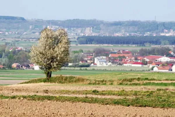 Spotkanie z Adamem Kocerbą w Klubie Seniora już we wtorek