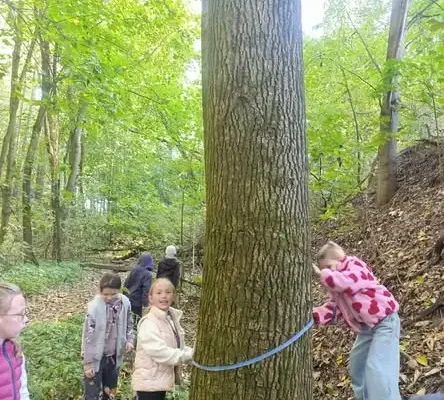 Uczniowie klas 2 i 3 odkrywali jesienny las podczas wycieczki edukacyjnej