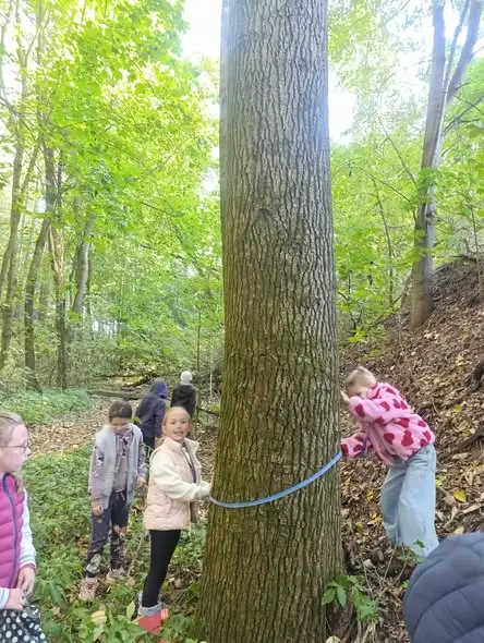Uczniowie klas 2 i 3 odkrywali jesienny las podczas wycieczki edukacyjnej