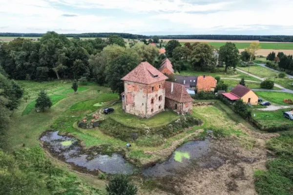 Zaginiona wieś Łabędź pod Działoszycami – ślad herbu i rodu Duninów