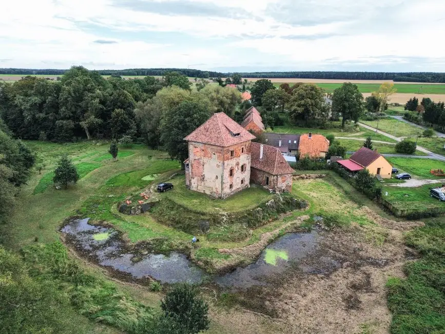 Zaginiona wieś Łabędź pod Działoszycami – ślad herbu i rodu Duninów