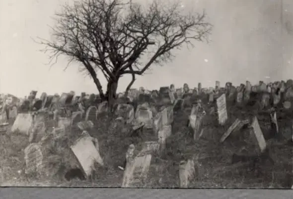 Fotografia cmentarza żydowskiego w Działoszycach z czasów I wojny światowej