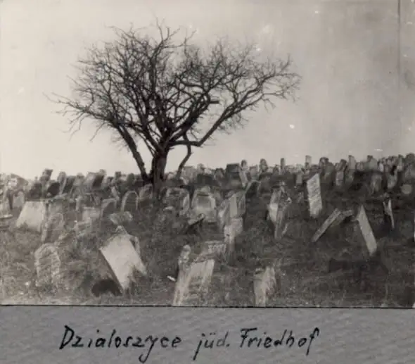 Fotografia cmentarza żydowskiego w Działoszycach z czasów I wojny światowej