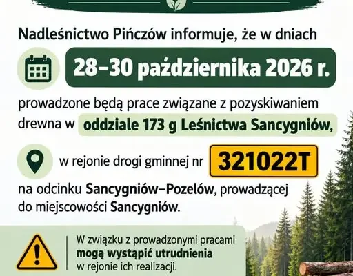 Utrudnienia na drodze Sancygniów–Pozelów. Nadleśnictwo Pińczów ostrzega